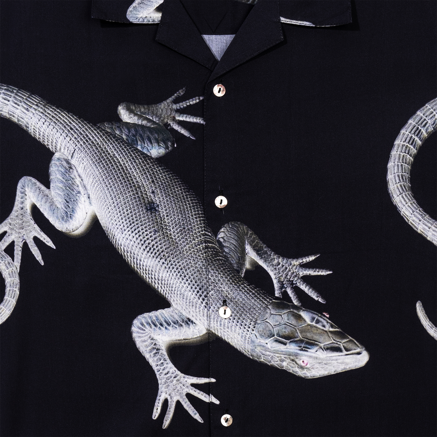 MONITOR SS BUTTON UP