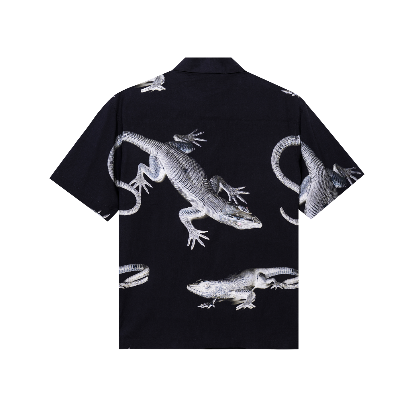 MONITOR SS BUTTON UP
