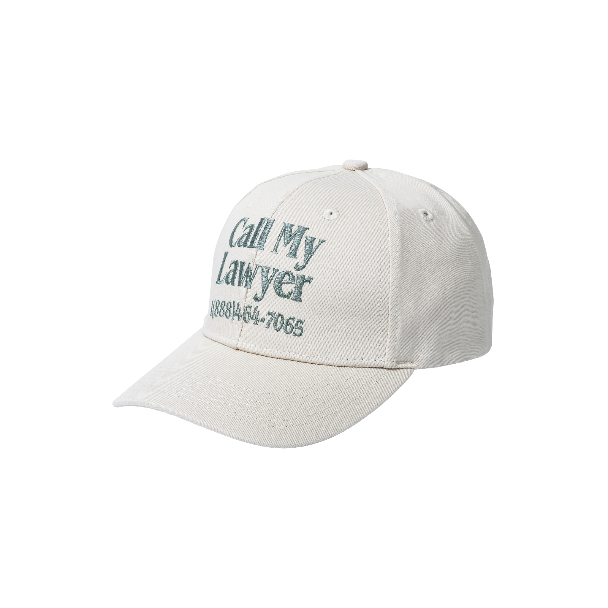 CALL MY LAWYER 6-PANEL HAT