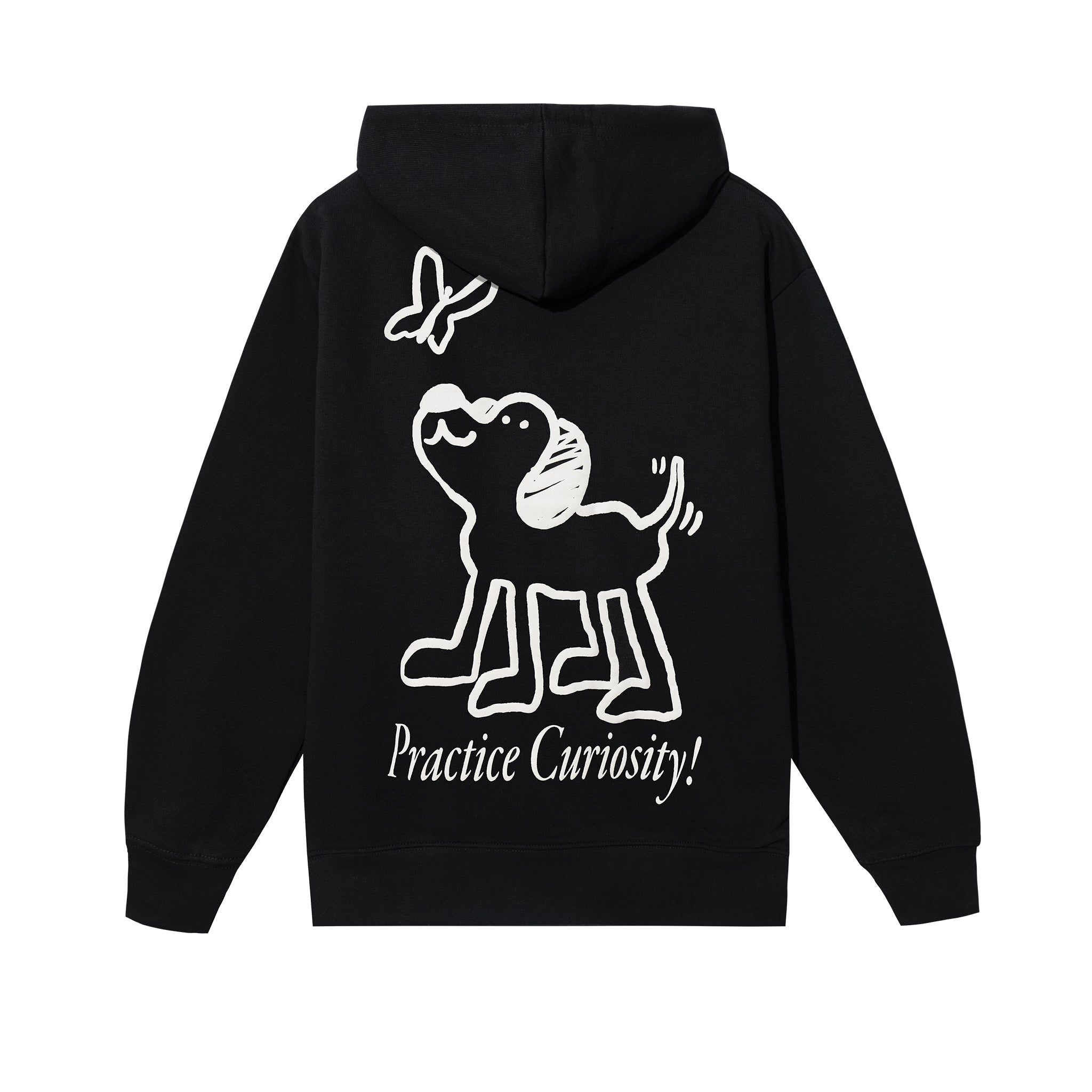 PRACTICE CURIOSITY HOODIE