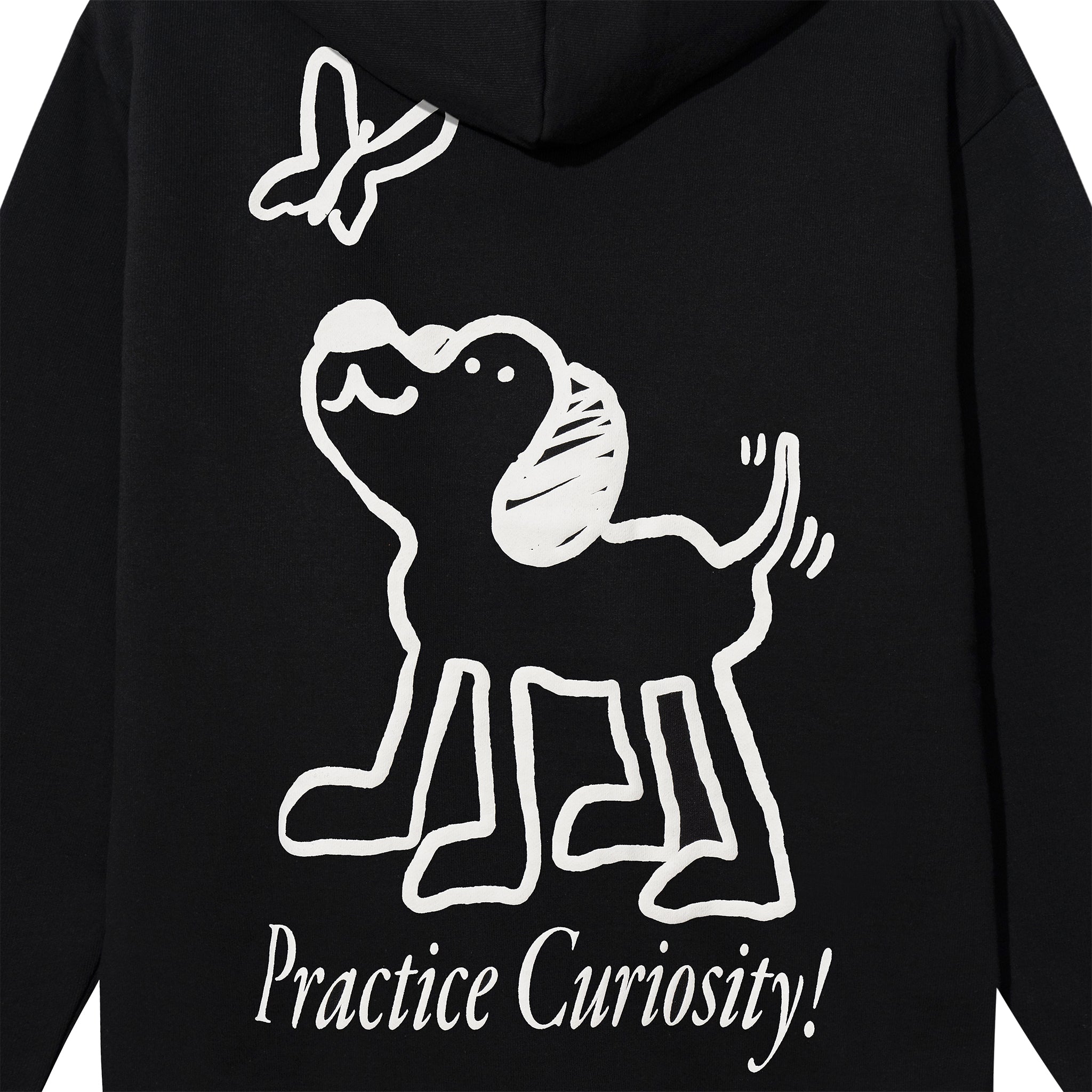 PRACTICE CURIOSITY HOODIE