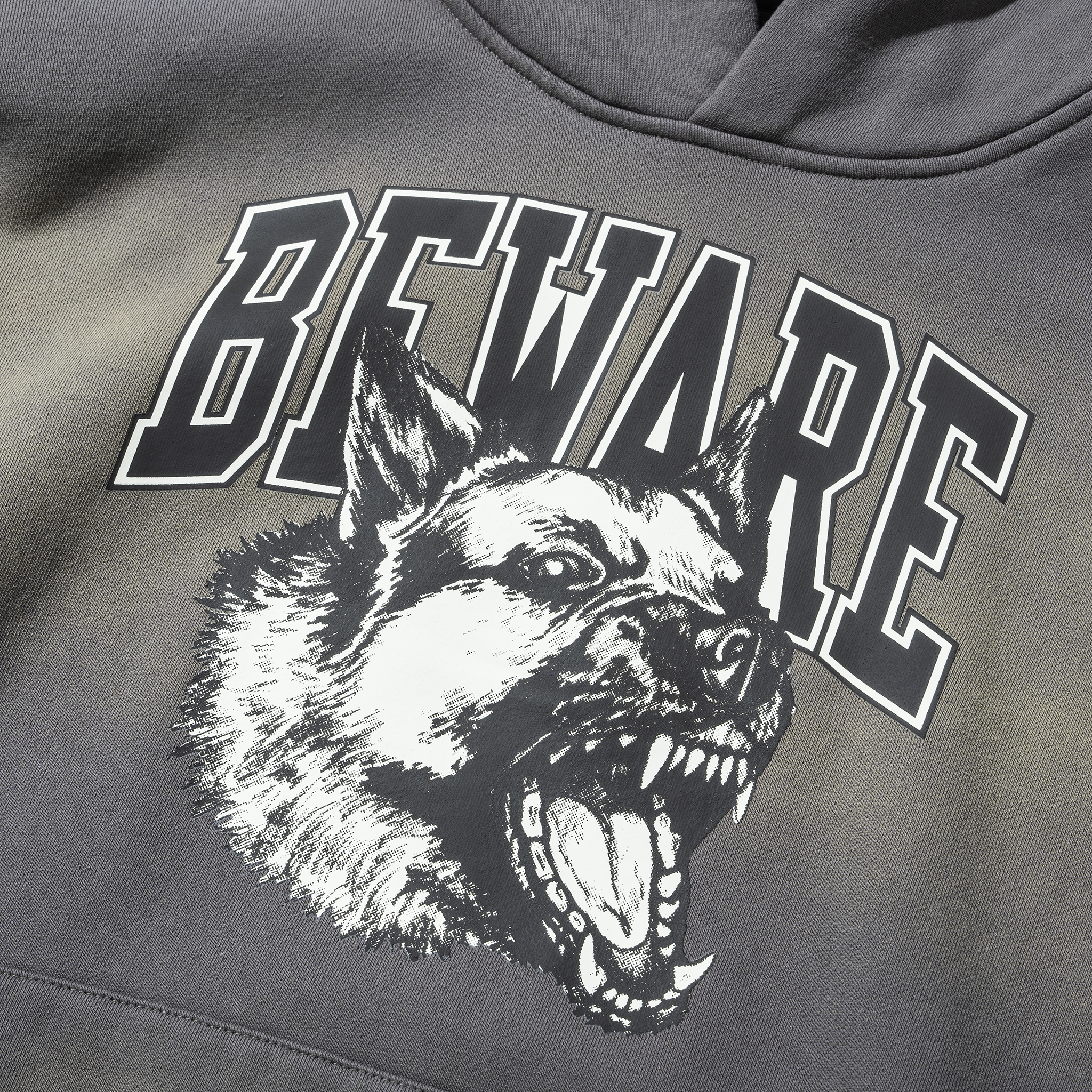 TONAL BEWARE HOODIE